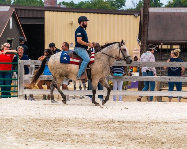 Star Equestrian Center