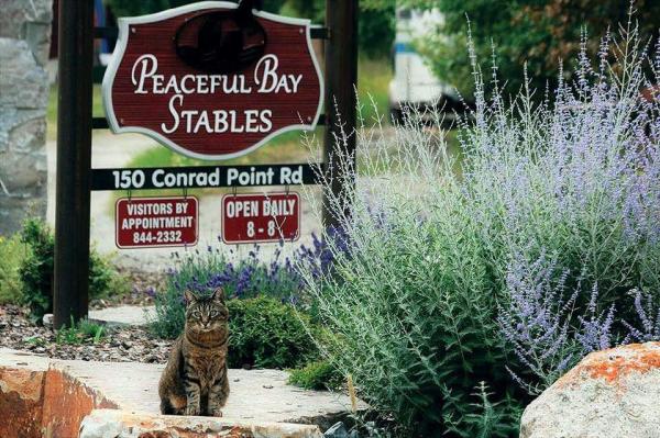 Peaceful Bay Stables