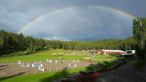 Peaceful Bay Stables