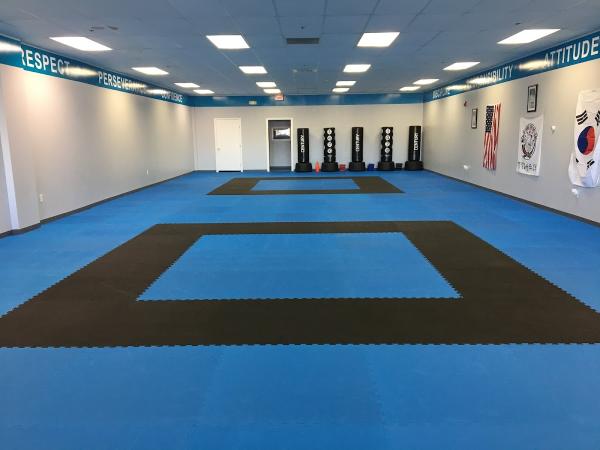 Arteca's Karate