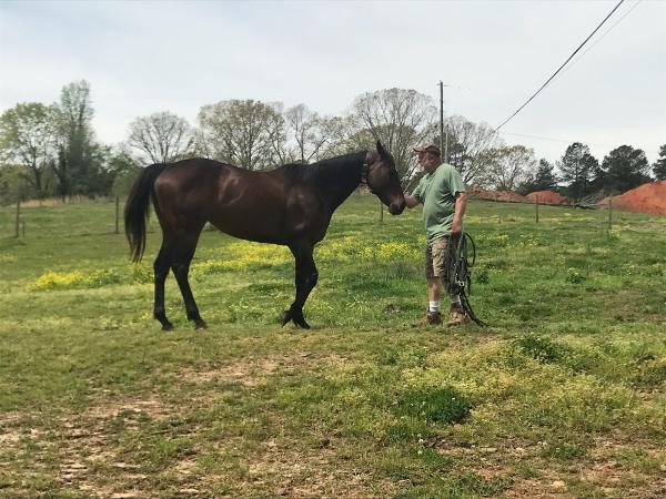 Bailey Creek Farm