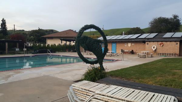 Treeview Swim Club