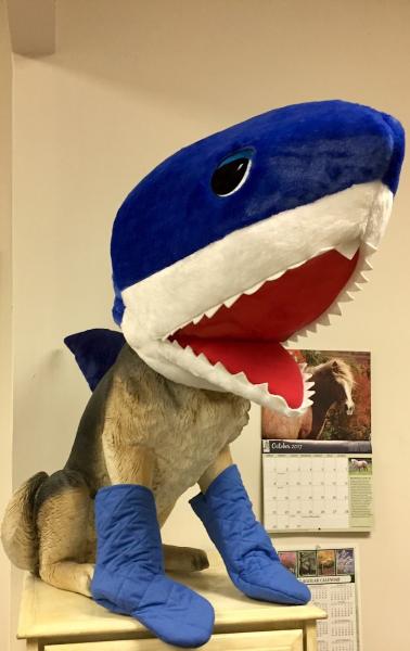 Aguilar Music Studio