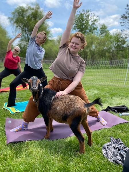 Goat Yoga Chicago