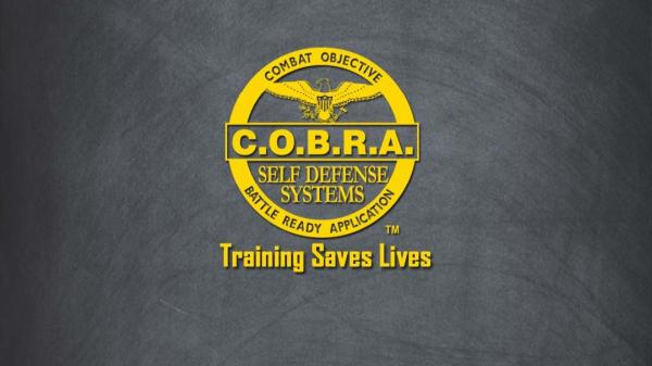C.o.b.r.a. Self Defense Miami