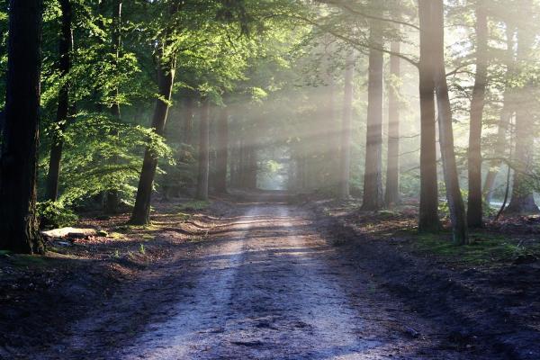 Royal Road Clinic: Mind Body Care