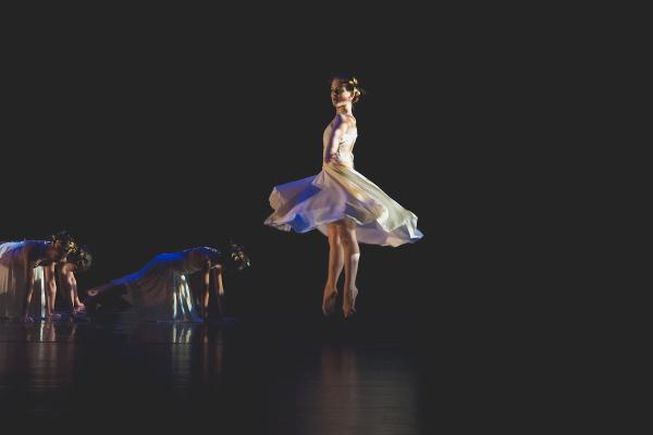 Dance Theatre of Greenville