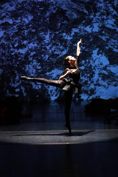 The Moving Company Dance Center