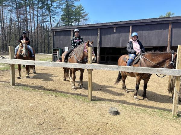 Carousel Horse Farm