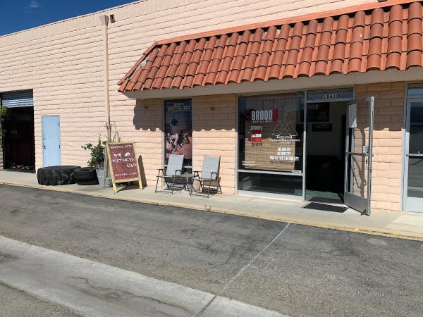 Brood 9 Martial Arts