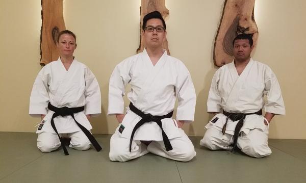 Ishinryu Karate SF