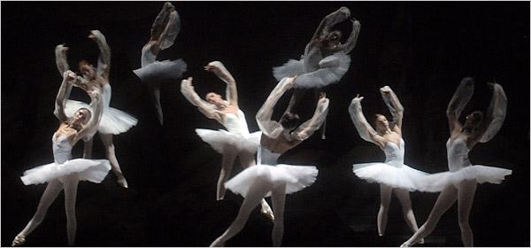 The Wilmington School of Ballet and Dance