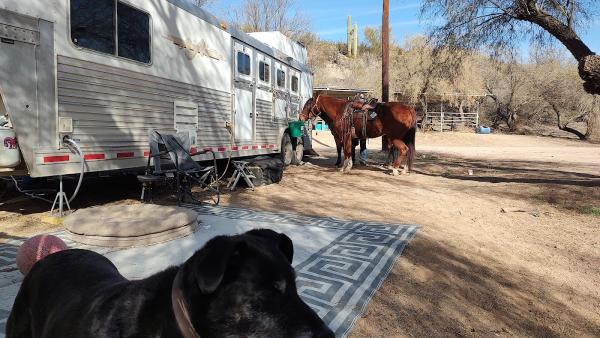 Lady Lottie Roping Camp