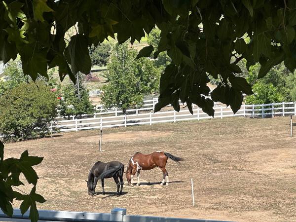 End Of the Road Ranch