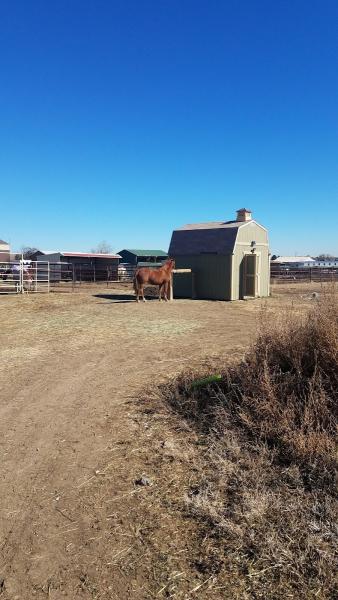 Standley Lake Stables