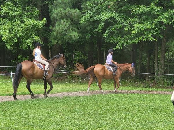 Cedarview Farm