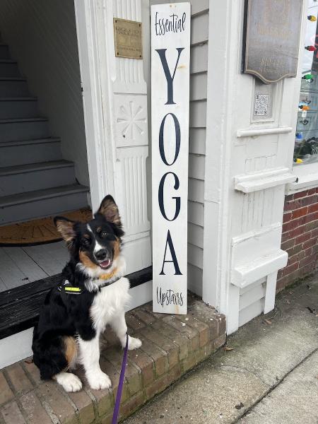 Essential Yoga