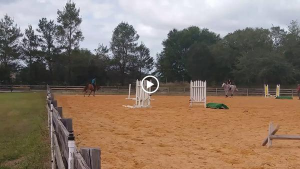 Dream Horse Equestrian Center