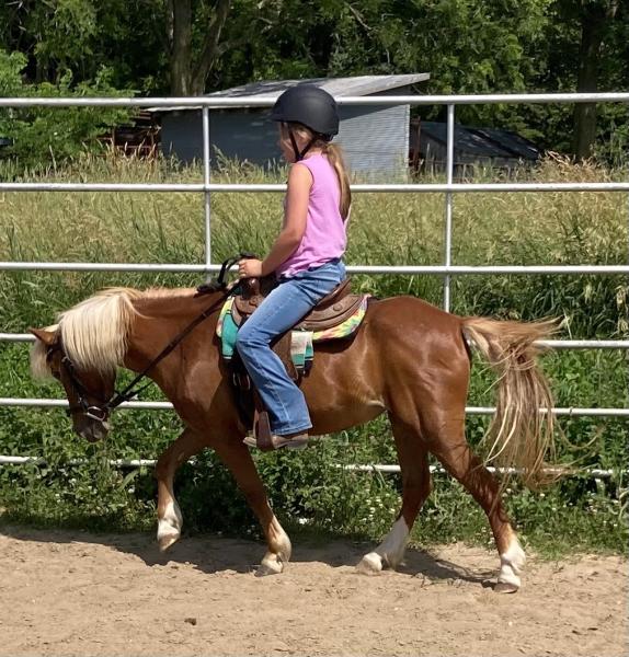 The Lazy Horse Equine Center