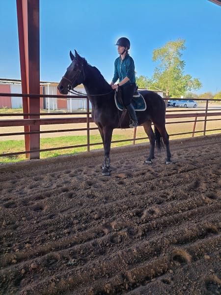 Hailey's Horsemanship LLC