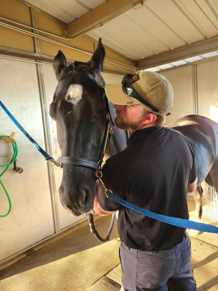 Hailey's Horsemanship LLC