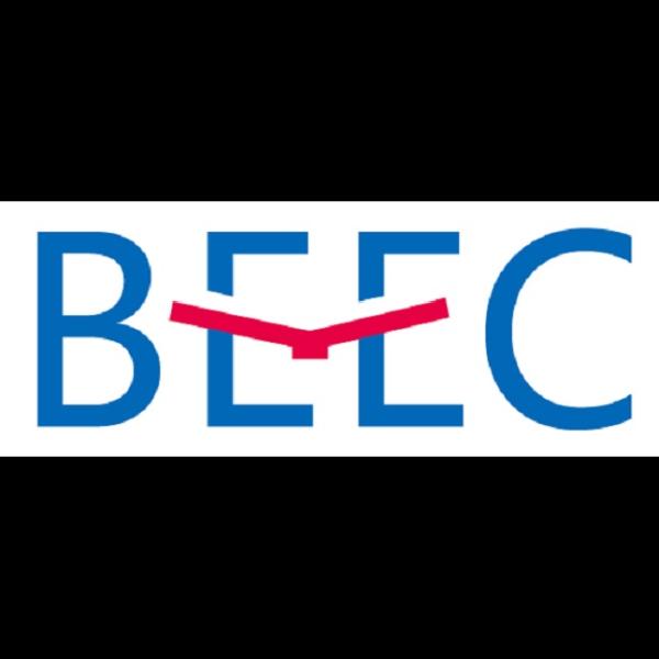 Beec Inc (Beyond Education Consulting)