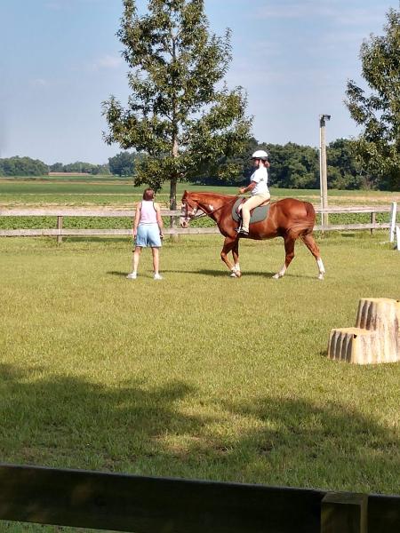 Hopewell Farm & Tack