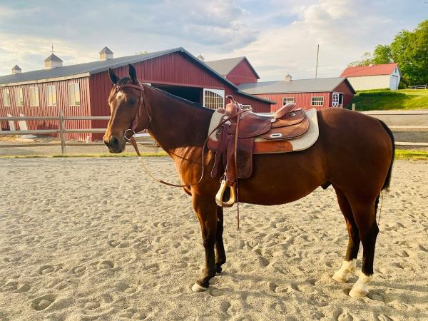 D-Bar-W Equestrian Center