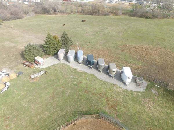 Shady Acres Stables