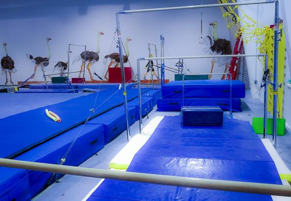 Sparkle City Gymnastics