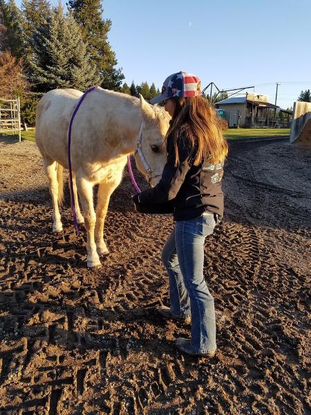 Bridle Path Quarter Horses