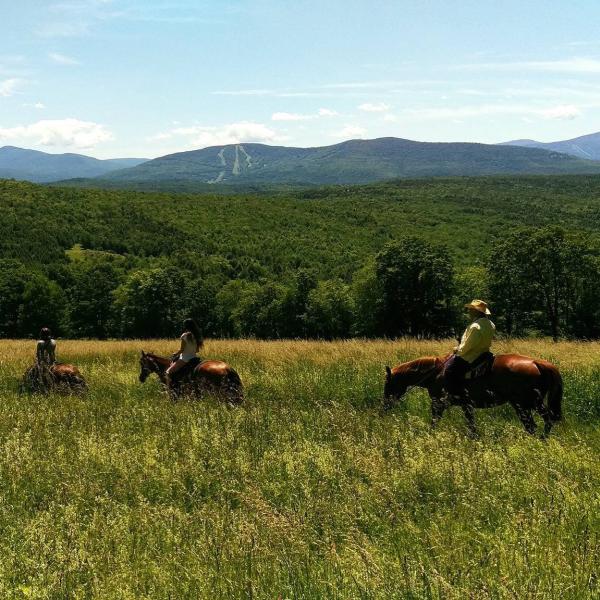 Mountain Brook Farm