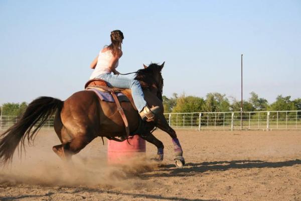 Lady A Horse Performance LLC