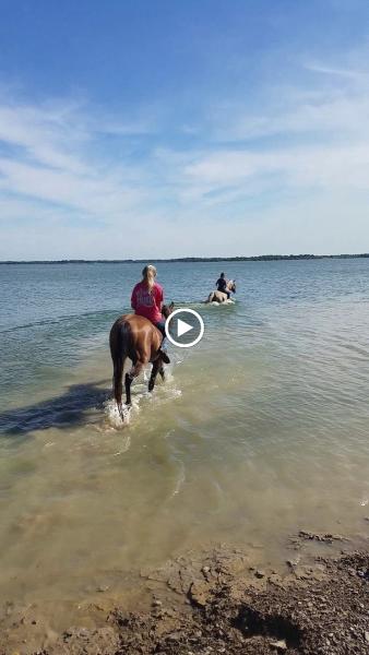 Lady A Horse Performance LLC