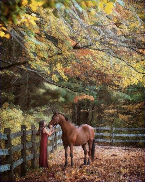 Furnace Brook Farm