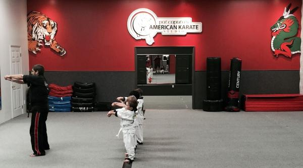 Pat Caputo's American Karate Studio