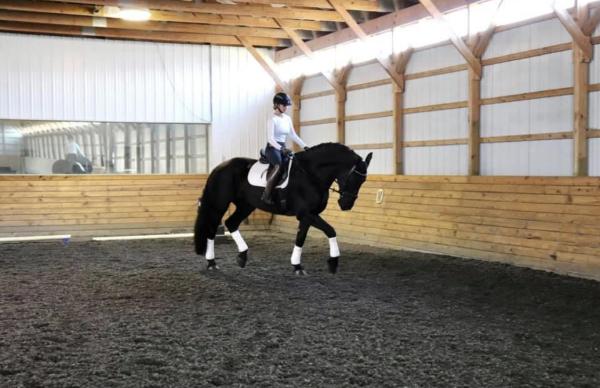 Spirit Stables Inc