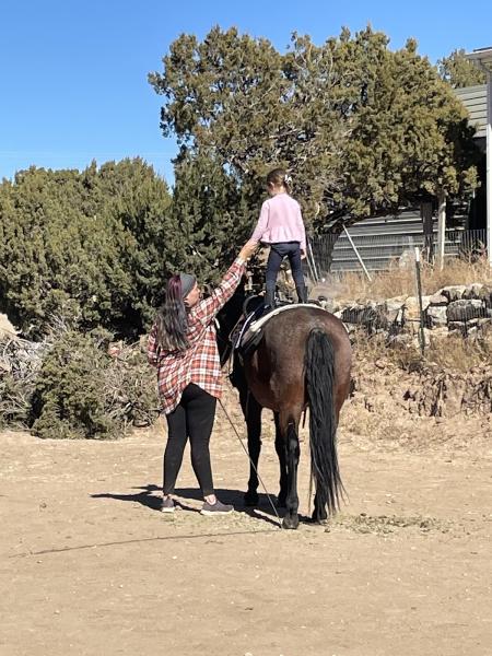 Desert Rose Horsemanship