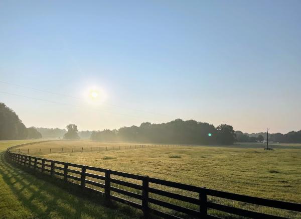 Legacy Oaks Farm