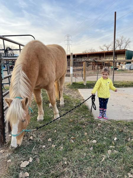 Bibber Creek Stables