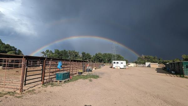 Bibber Creek Stables