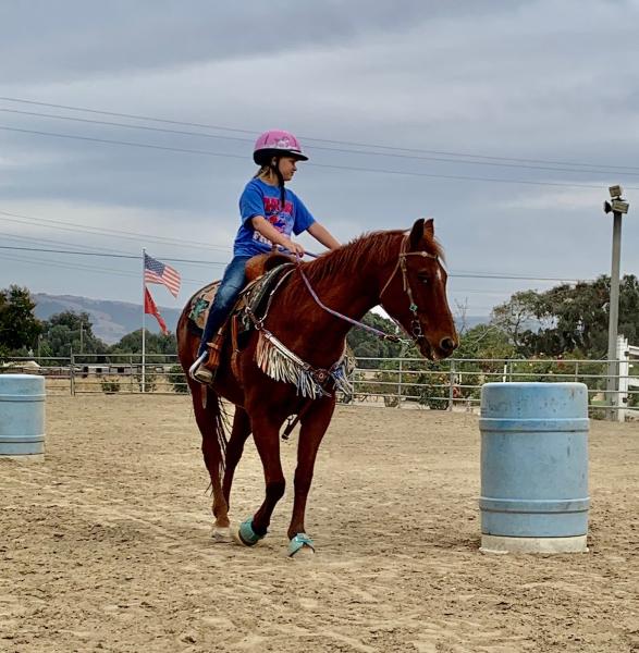 SL Barrel Horses