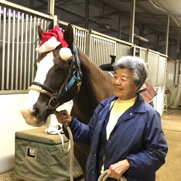 Horseplay Therapeutic Riding