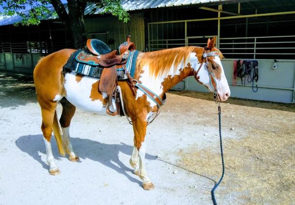 Melody Acres Stable