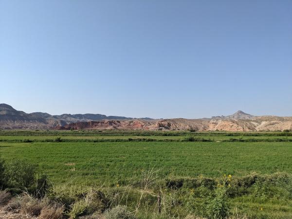 Wild West Horseback Adventures