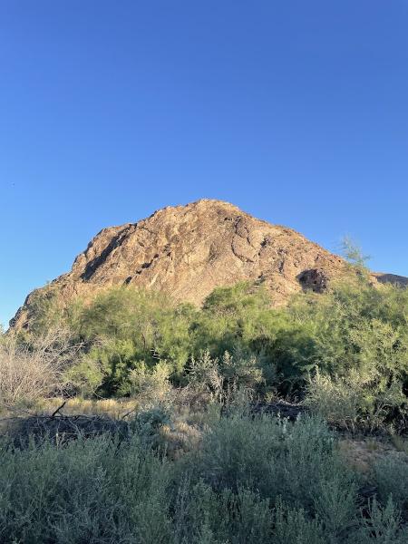 Wild West Horseback Adventures