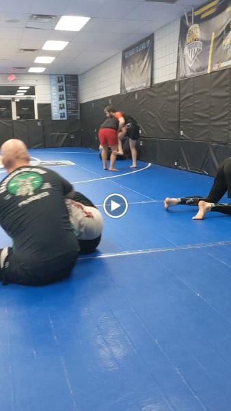 3 Elements BJJ and MMA