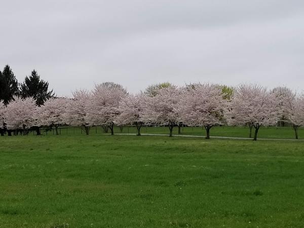 Forliano Farm