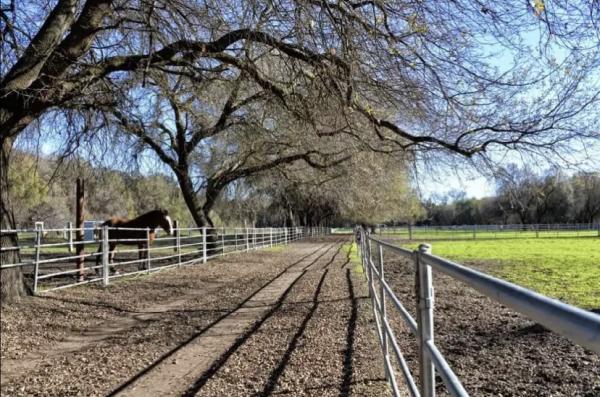 Beach Lake Stables