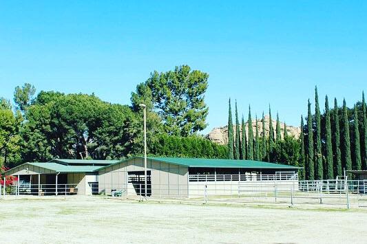 Breezy Meadow Stables